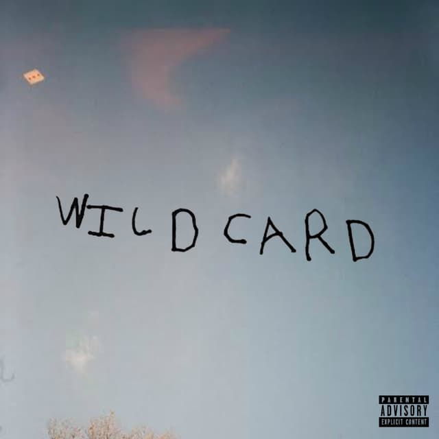 Album cover art for Wild Card