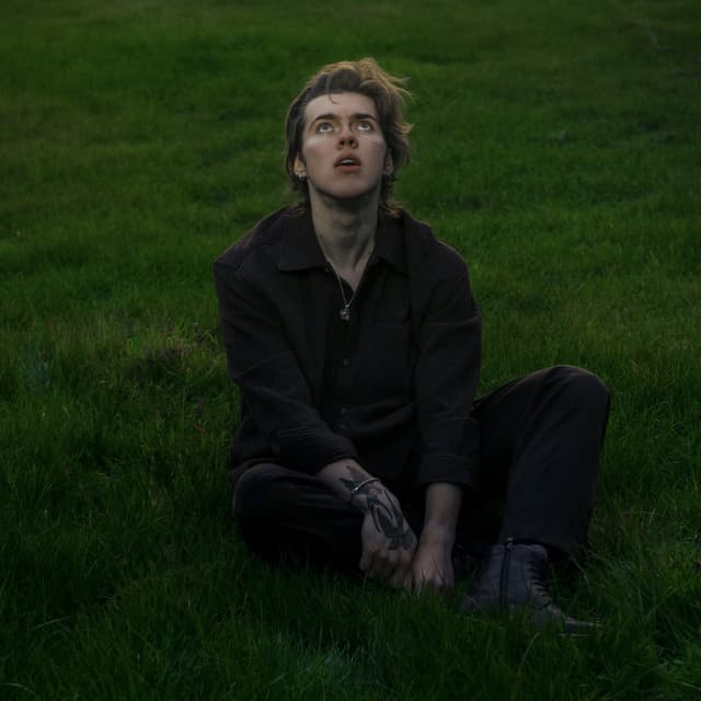 Album cover art for A Hometown Odyssey