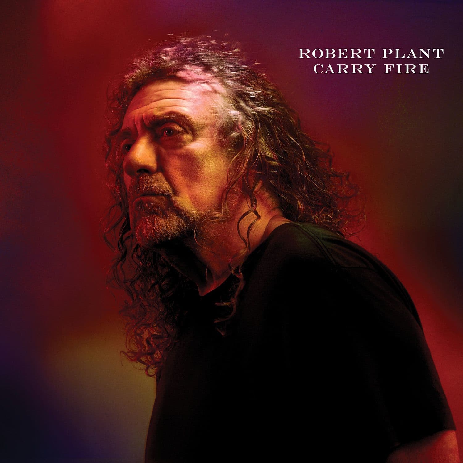 Lyrics | Robert Plant | 29 Palms