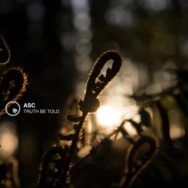 Album cover art for Truth Be Told