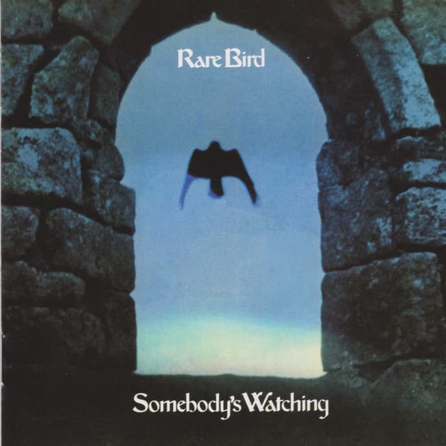 Album cover art for Somebody's Watching
