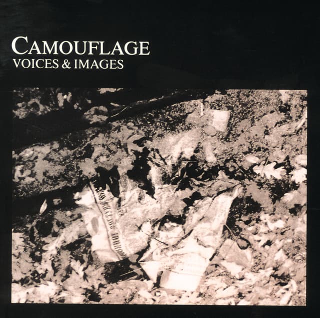 Album cover art for Voices & Images