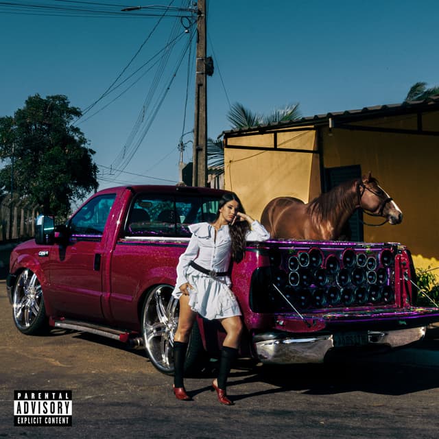 Album cover art for Gringa