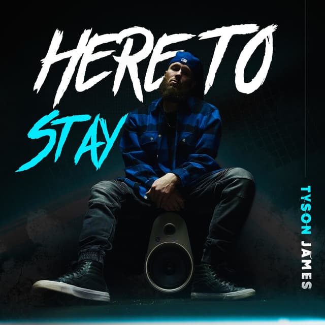 Album cover art for Here to Stay
