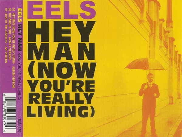 Album cover art for Hey Man (Now You're Really Living)