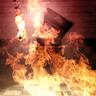 Die in a fire