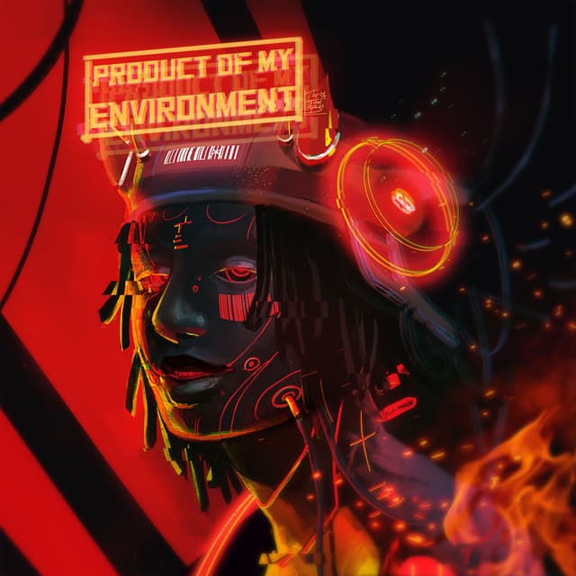 Album cover art for Product of My Environment