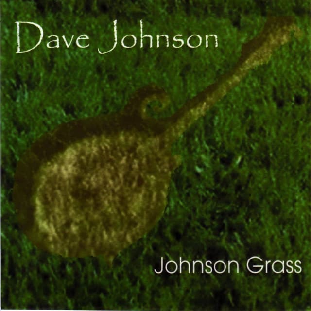 Album cover art for Johnson Grass