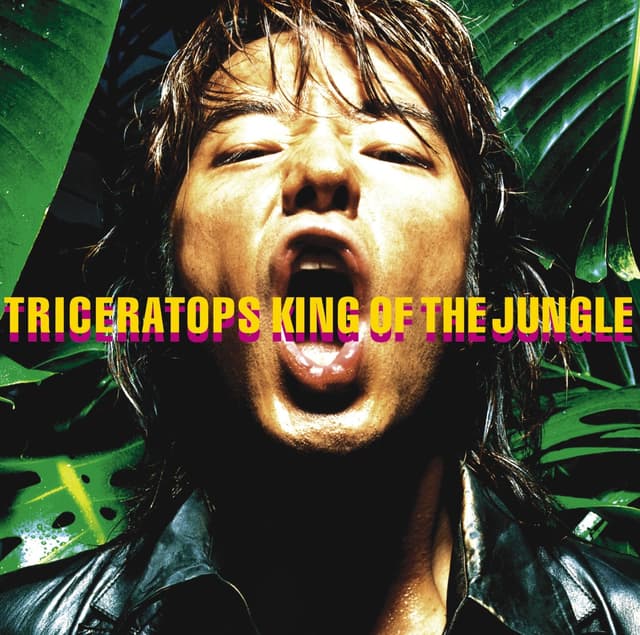 Album cover art for KING of the JUNGLE