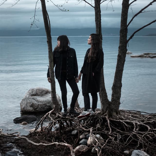 Album cover art for O Marineros