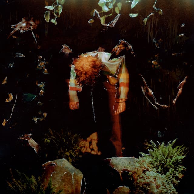 Album cover art for Worm Food