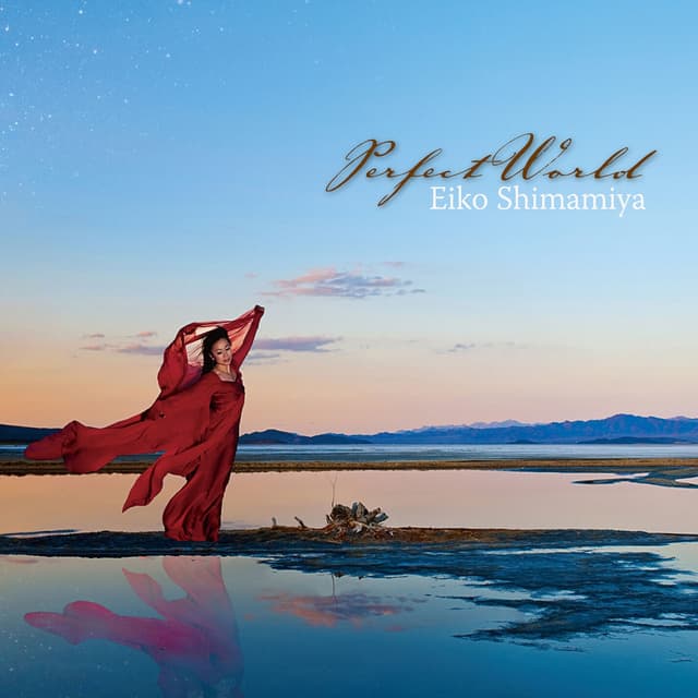 Album cover art for Perfect World