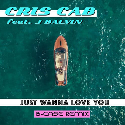 Album cover art for Just Wanna Love You (B-Case Remix)