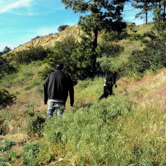 Album cover art for MIRY