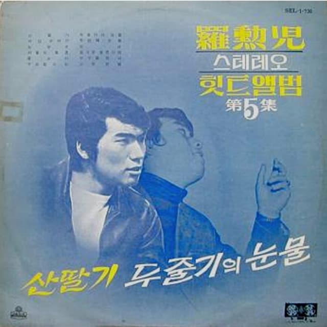 Album cover art for Stereo Hit Song Album Vol. 5 Raseberry/Two Streams of Tear