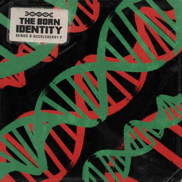 Album cover art for The Born Identity