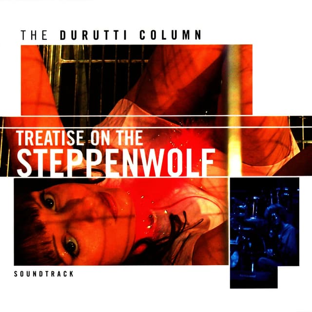 Album cover art for Treatise on the Steppenwolf
