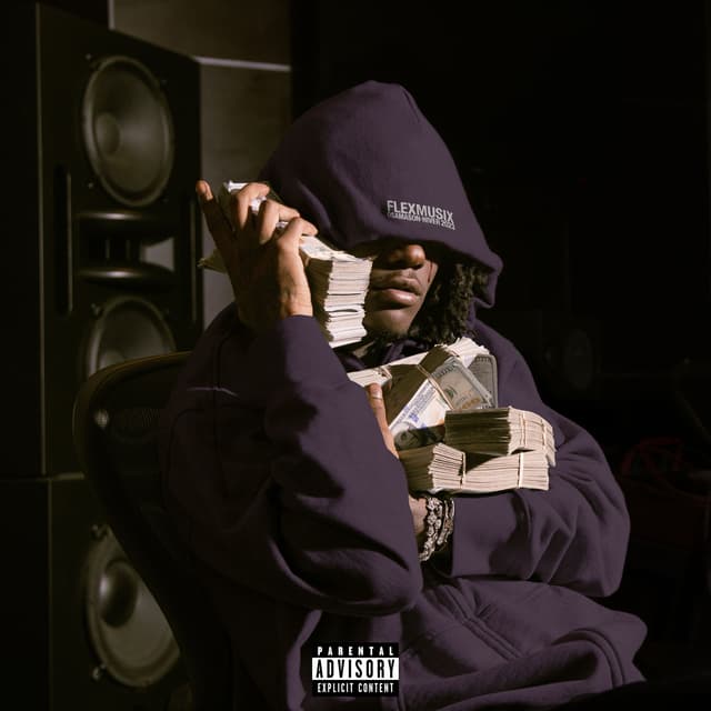 Album cover art for Flex Musix