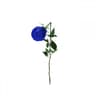 눈감을때 In dream (In dream)