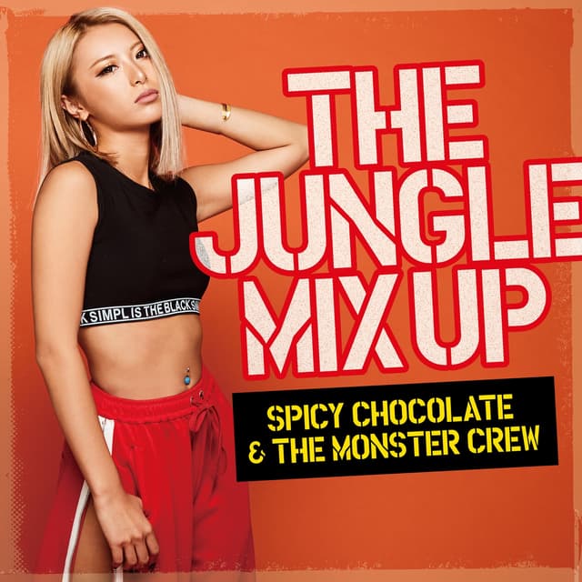 Album cover art for The Jungle Mix Up