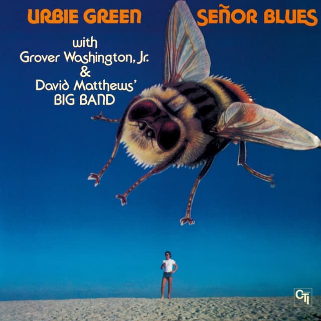 Album cover art for Señor Blues