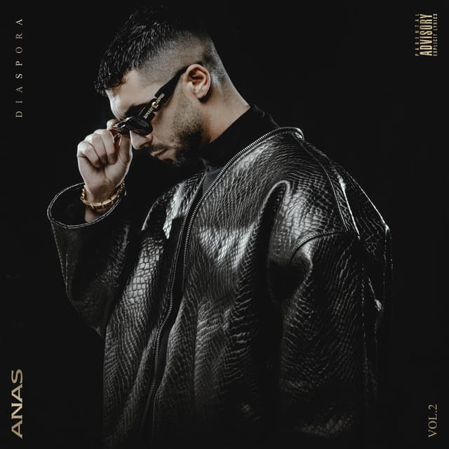 Album cover art for Diaspora, Vol.2