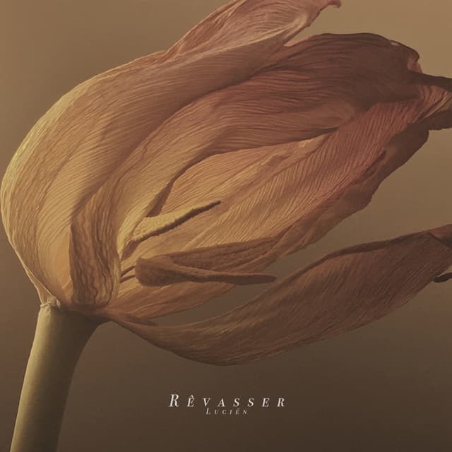 Album cover art for Rêvasser