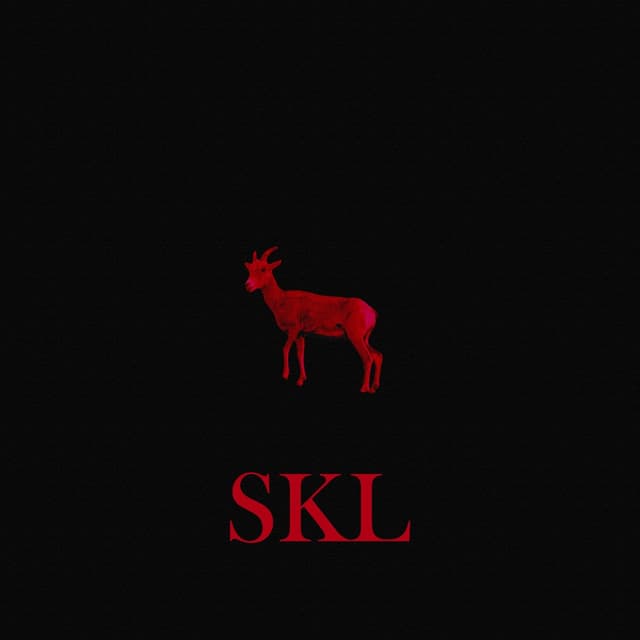 Album cover art for SKL