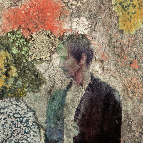 Album cover art for Intelligentle