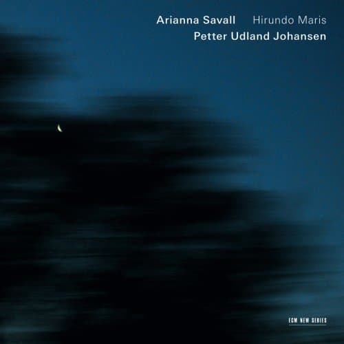Album cover art for Hirundo Maris