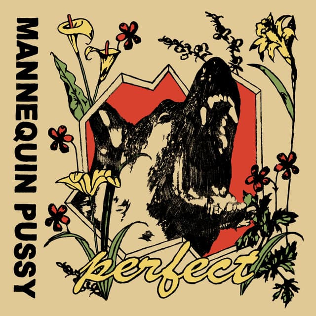 Album cover art for Perfect