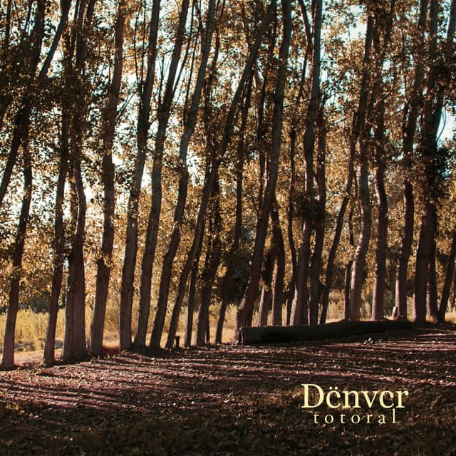 Album cover art for Totoral