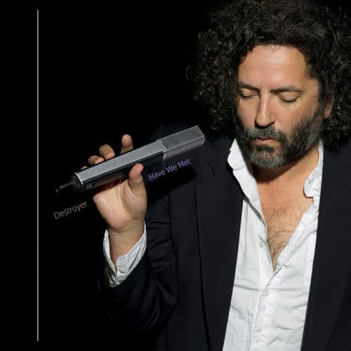 Album cover art for Have We Met