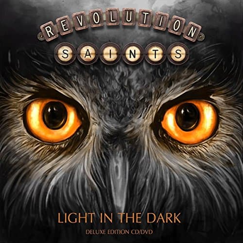 Album cover art for Light In The Dark