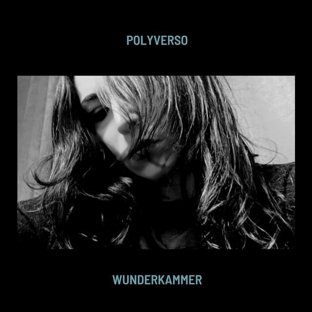 Album cover art for Wunderkammer