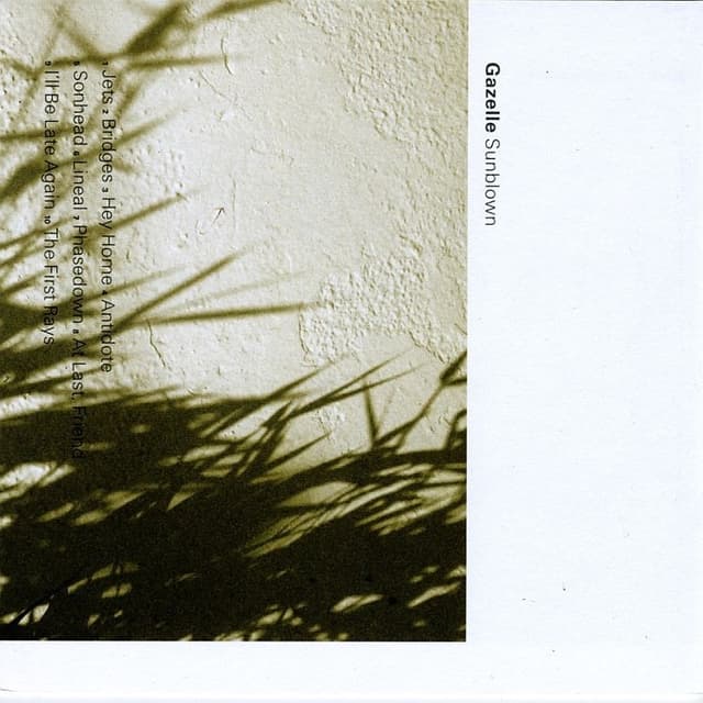 Album cover art for Sunblown