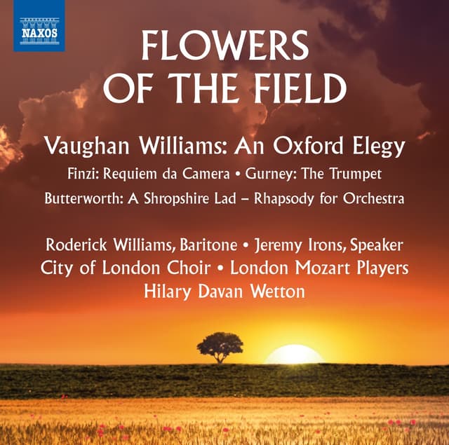 Album cover art for Flowers of the Field