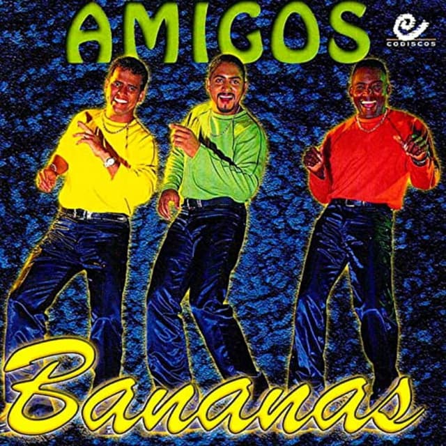 Album cover art for Amigos