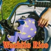 Album cover art for Wachito Rico