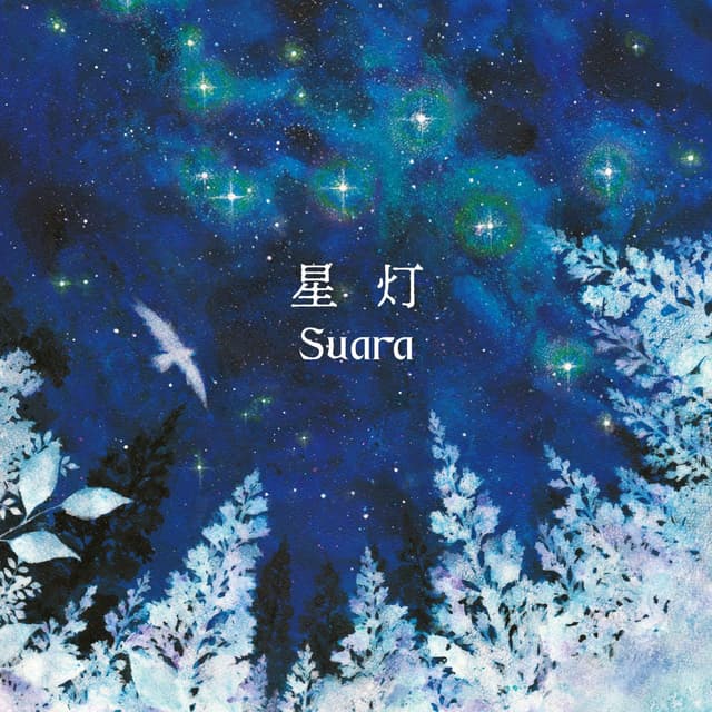 Album cover art for Hikari