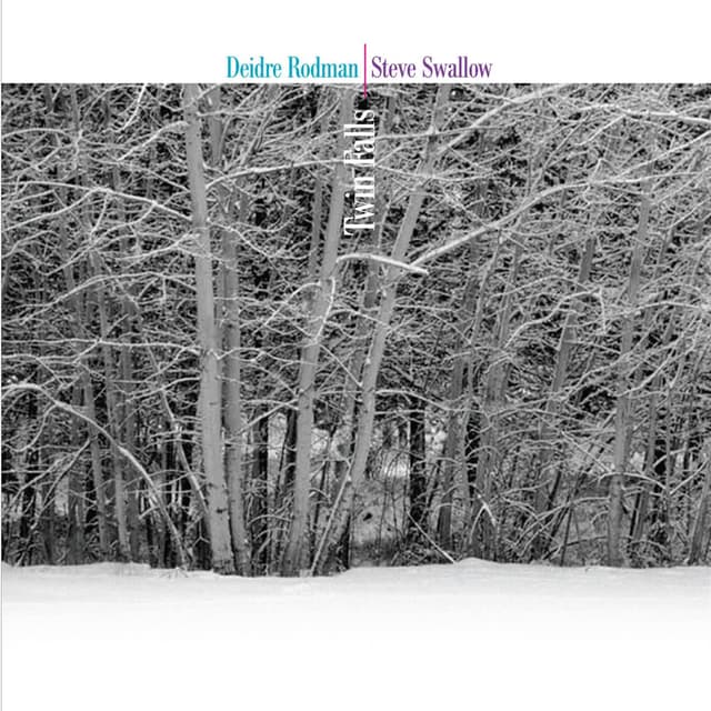 Album cover art for Twin Falls