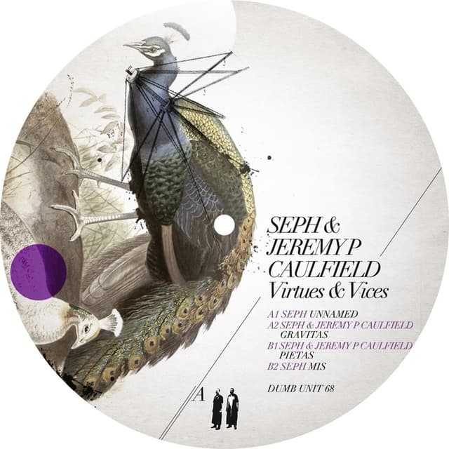 Album cover art for Virtues & Vices