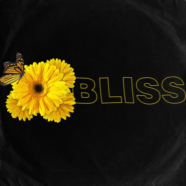 Album cover art for BLISS
