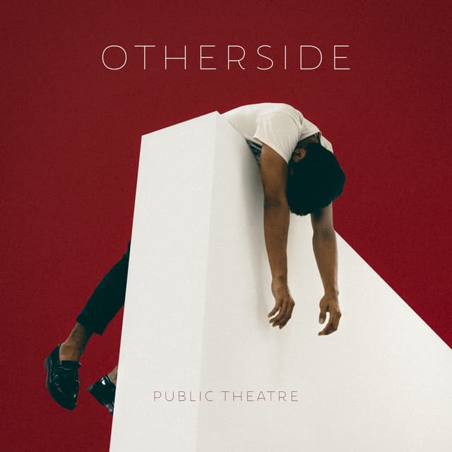 Album cover art for Otherside