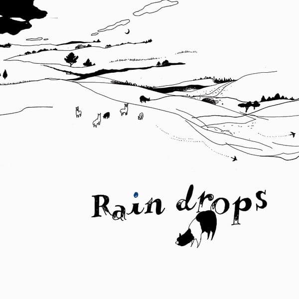 Album cover art for Raindrops