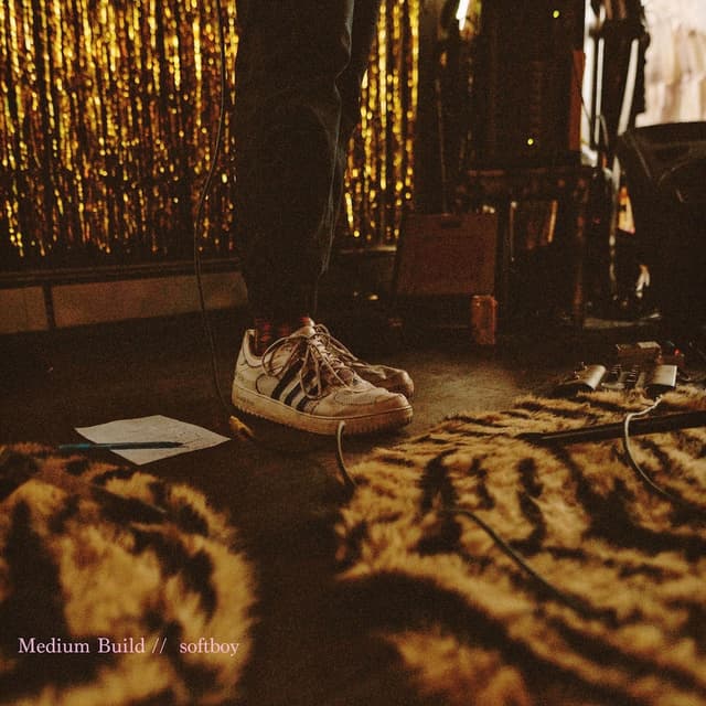 Album cover art for softboy