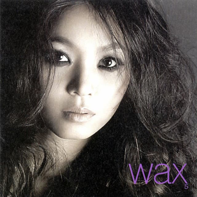 Album cover art for Wax 5 - Good Bye