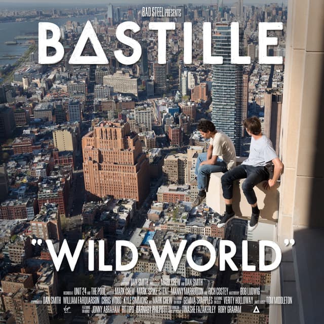 Album cover art for Wild World