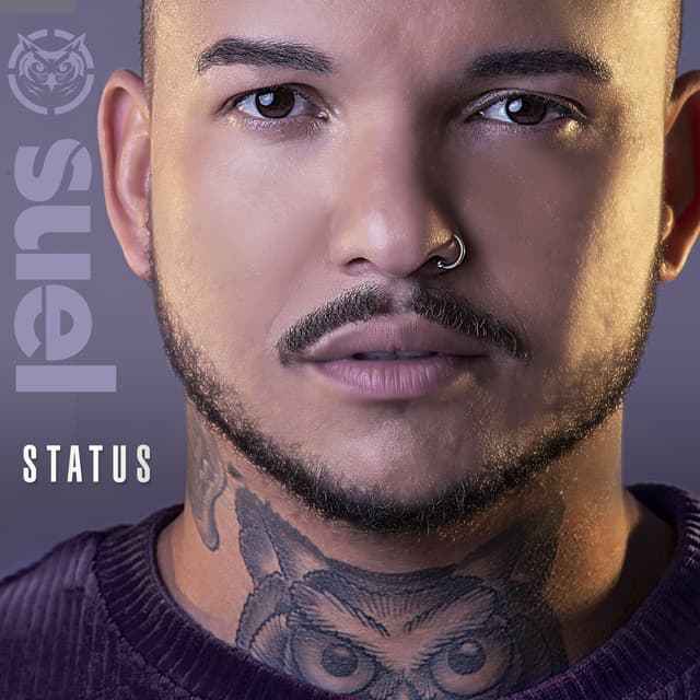 Album cover art for Status