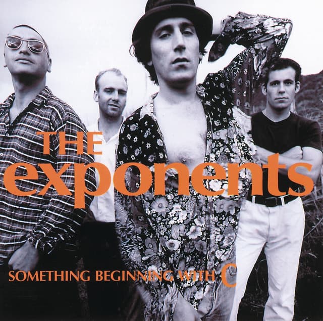 Album cover art for Something Beginning With C